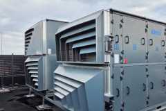 texom-5
