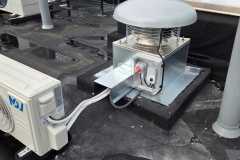 texom-8